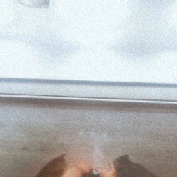 ���� ���, ������������, 28 ��� - ��������� 17 ������ 2023