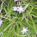 ���� �������, ��������� - ��������� 18 ��� 2025 � ������ ������ ��������