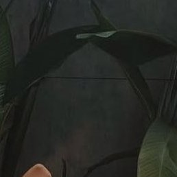 ��������, ������, 29 ���