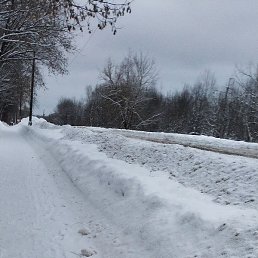 ������, ������, 38 ���