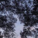 ���� �������., ������� - ��������� 19 ����� 2026 � ������ ������ ��������
