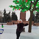���� ����, ���������, 56 ��� - ��������� 7 ��� 2026 � ������ ���� ����������