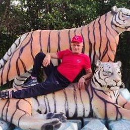 ��������, �����������