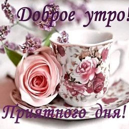 ���� ���������, ����, 46 ��� - ��������� 24 ��� 2026