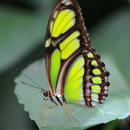 �������, �����-���������, 30 ���