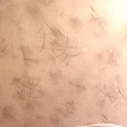 ����, 51 ���, ������