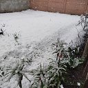 ���� Nina Iv, ������ ��� - ��������� 9 ������ 2025 � ������ ��������