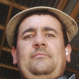 ��������, �������, 32 ����