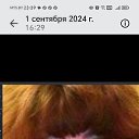 ���� ��������, �����, 62 ���� - ��������� 14 ������� 2025 � ������ ���� ����������