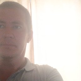 , 41, 