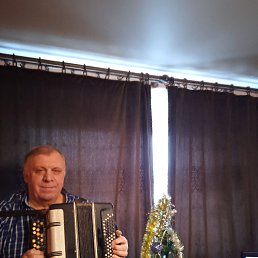 , 61, 