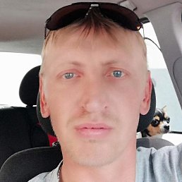 ��������, �����, 44 ����