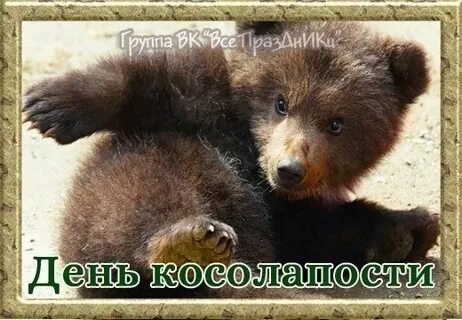 ��e����: ������, ������, ������, ����������, ������, ������, �����, ������� , �����, �����, �����. - 6