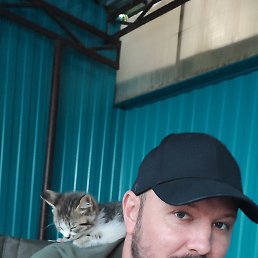 ���� �������, ������, 37 ��� - ��������� 11 ������� 2024