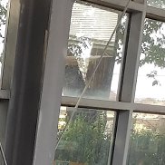 �������, 48 ���, �������