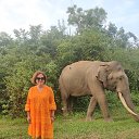 ���� �����, ������� - ��������� 14 ������� 2024 � ������ ���� ����������