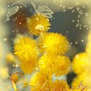 ���� Anna, ������������, 42 ���� - ��������� 9 ������ 2024 � ������ ���� ����������