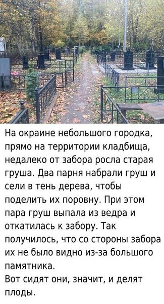 - Эту - мне, а эту - тебе... В это время мимо кладбища на велосипеде едет мальчик. И слышит диалог ...