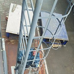 ���������, ���������, 43 ����