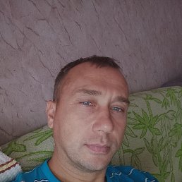 , 37, 