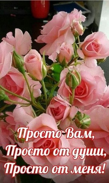 Я желаю вам каждому счастья, Всем тепла доброты и любви И красивого дня ведь прекрасно Начинать ...