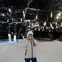 ���� ������, ������������, 69 ��� - ��������� 29 ������ 2024 � ������ ���� ����������