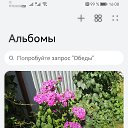 ���� Tatka@, ������ - ��������� 8 ������� 2026