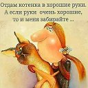���� �������, ������������, 59 ��� - ��������� 13 ������� 2026 � ������ ���� ����������