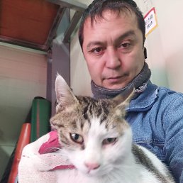 ���� �����, ��������, 55 ��� - ��������� 23 �������� 2025