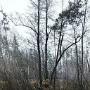 ���� ������, ������, 36 ��� - ��������� 21 ������� 2025 � ������ ���� ����������