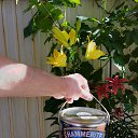 ���� �������, ������� - ��������� 20 ������� 2023 � ������ ����