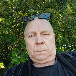 , 54, 