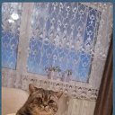 ���� ������, �����, 69 ��� - ��������� 3 ������� 2025 � ������ ������ ��������