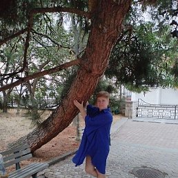 ����, �����, 53 ����