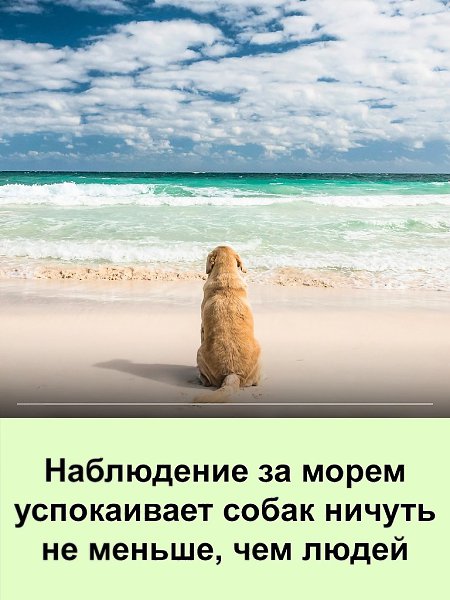 ������ ������ � ���������� ������