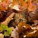 ���� Serg, ����� - ��������� 1 ������� 2023 � ������ ������ ��������