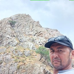, 40, 