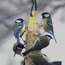 ���� ***������***, �������, 68 ��� - ��������� 28 ������ 2025 � ������ ������ ��������