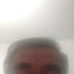 ����, ������