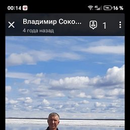 ��������, 49 ���, ������