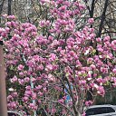 ���� ���������, ���������, 41 ��� - ��������� 23 ������ 2026 � ������ ������ ��������