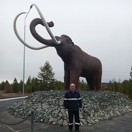 ����, ������, 59 ���