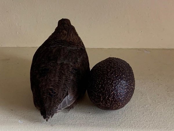 ��� ������ ��� ��������� - 2