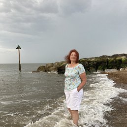 , 66, 