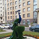 ���� ���������, ������, 45 ��� - ��������� 26 ������� 2023 � ������ ���� ����������