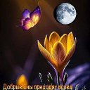 ���� �������, �������� - ��������� 5 ��� 2026 � ������ ������ ��������