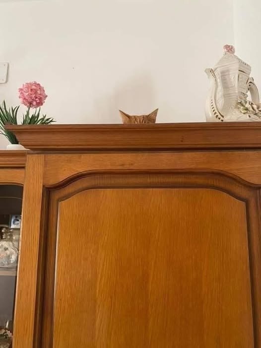 � ������ ���� ���