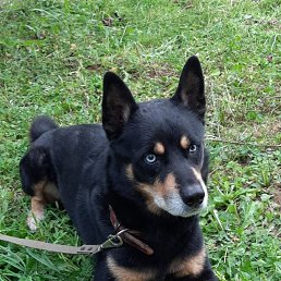 ���� �������, ������, 57 ��� - ��������� 4 ������� 2023