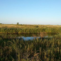 ������, ������� ���, 54 ����