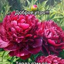 ���� �����, �����������, 52 ���� - ��������� 27 ��� 2025